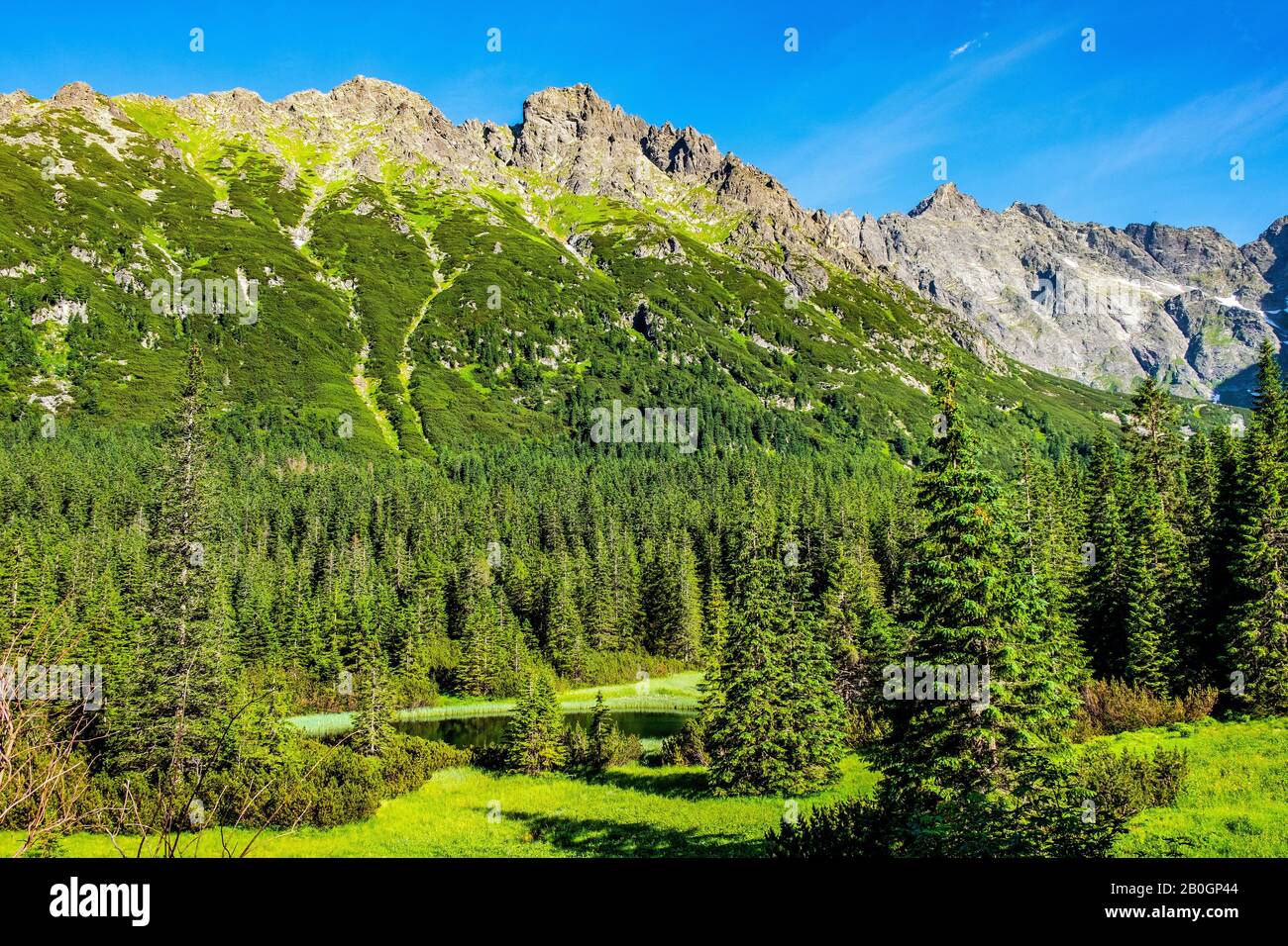 Vista panoramica del crinale di Seven Granats - Siedem Granatow - all'interno della catena Zabia Gran sopra la valle di Rybi Potok nei Monti Tatra, vicino a Zakopane in Polonia Foto Stock