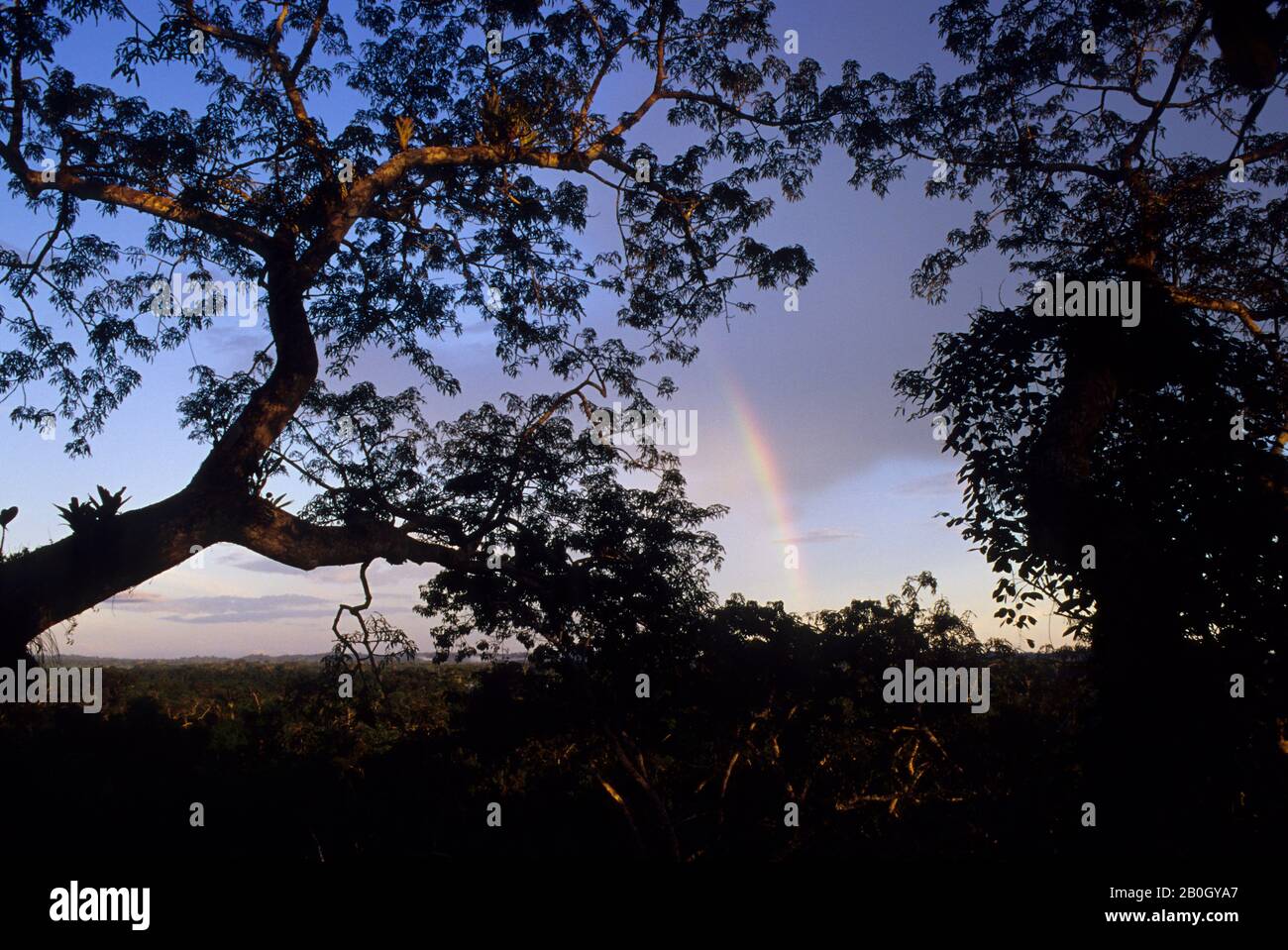 ECUADOR, BACINO AMAZZONICO, RIO NAPO, FORESTA PLUVIALE, TETTOIA SUPERIORE, ARCOBALENO Foto Stock