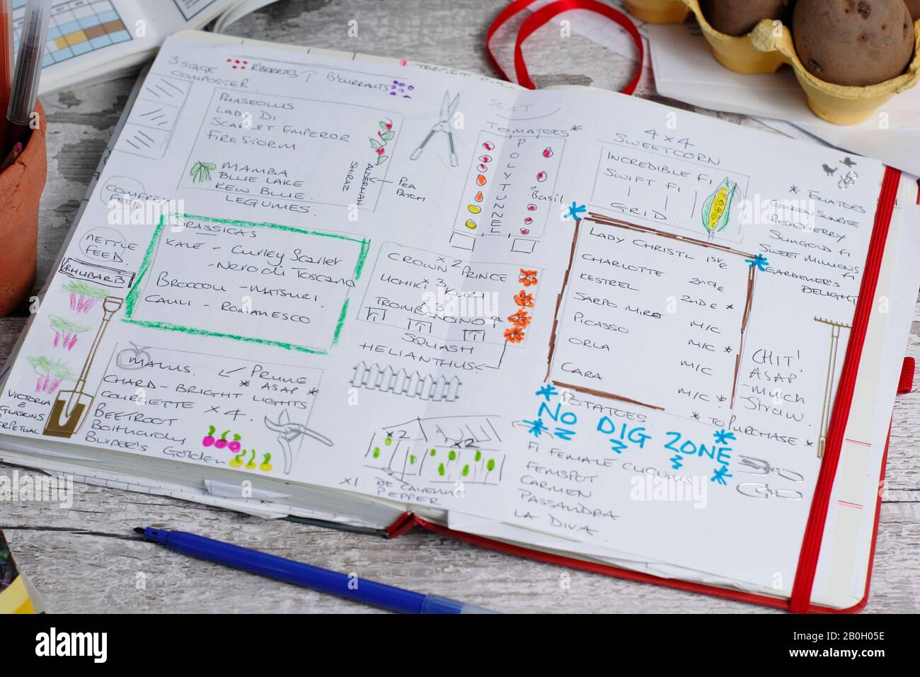 Progettazione di un orto in inverno con un taccuino da giardinaggio, patate da semina e pacchetti di semi. REGNO UNITO Foto Stock