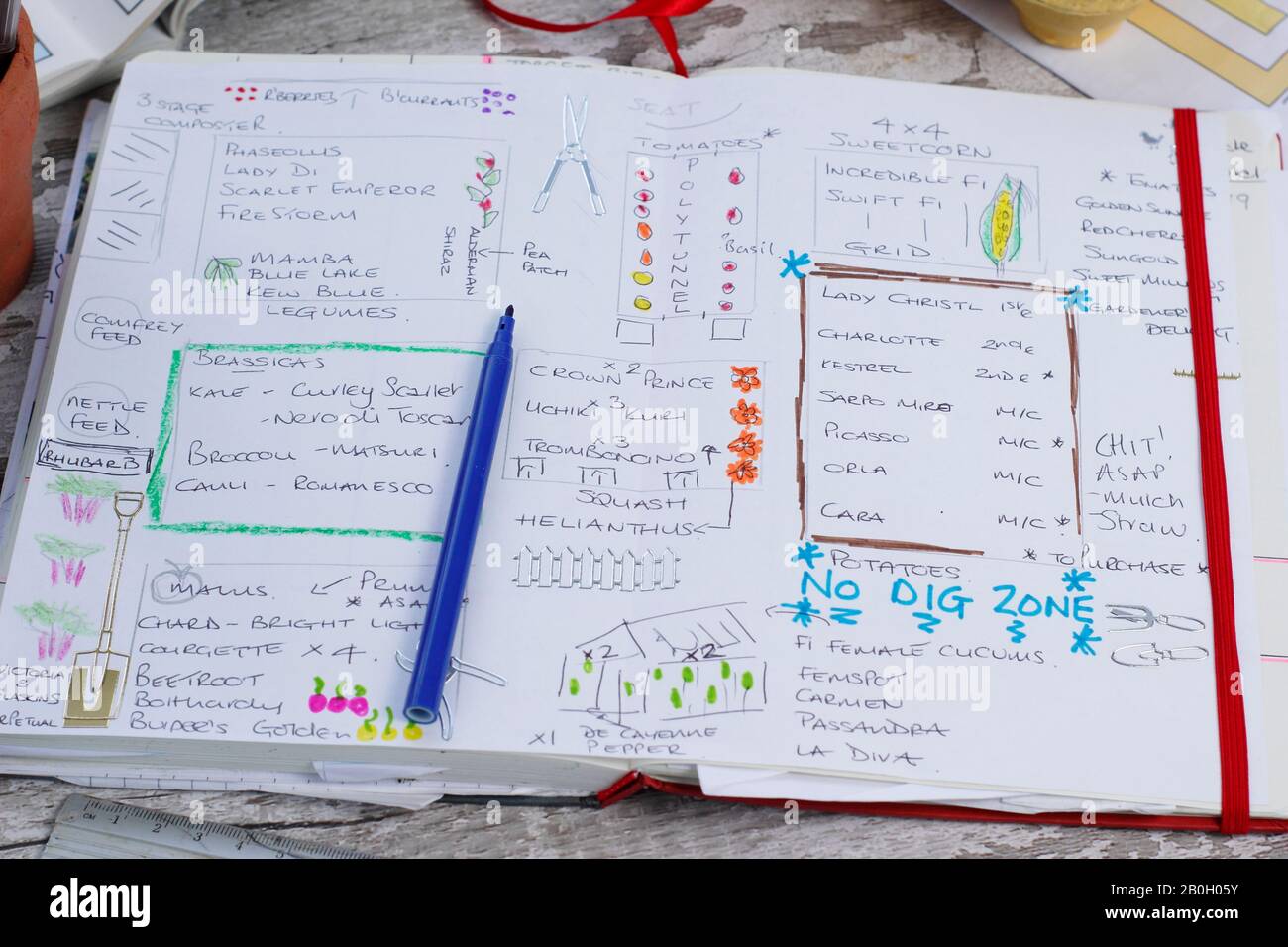 Pianificazione di un orto in inverno tardi con un taccuino giardinaggio e pacchetti di semi. REGNO UNITO Foto Stock