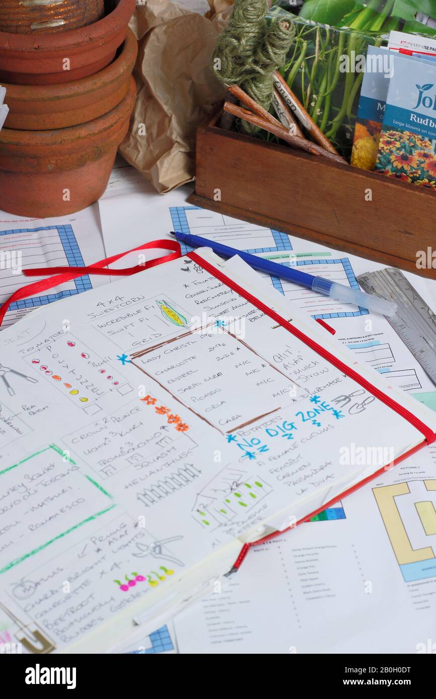 Pianificazione di un orto in inverno tardi con un taccuino giardinaggio e pacchetti di semi. REGNO UNITO Foto Stock