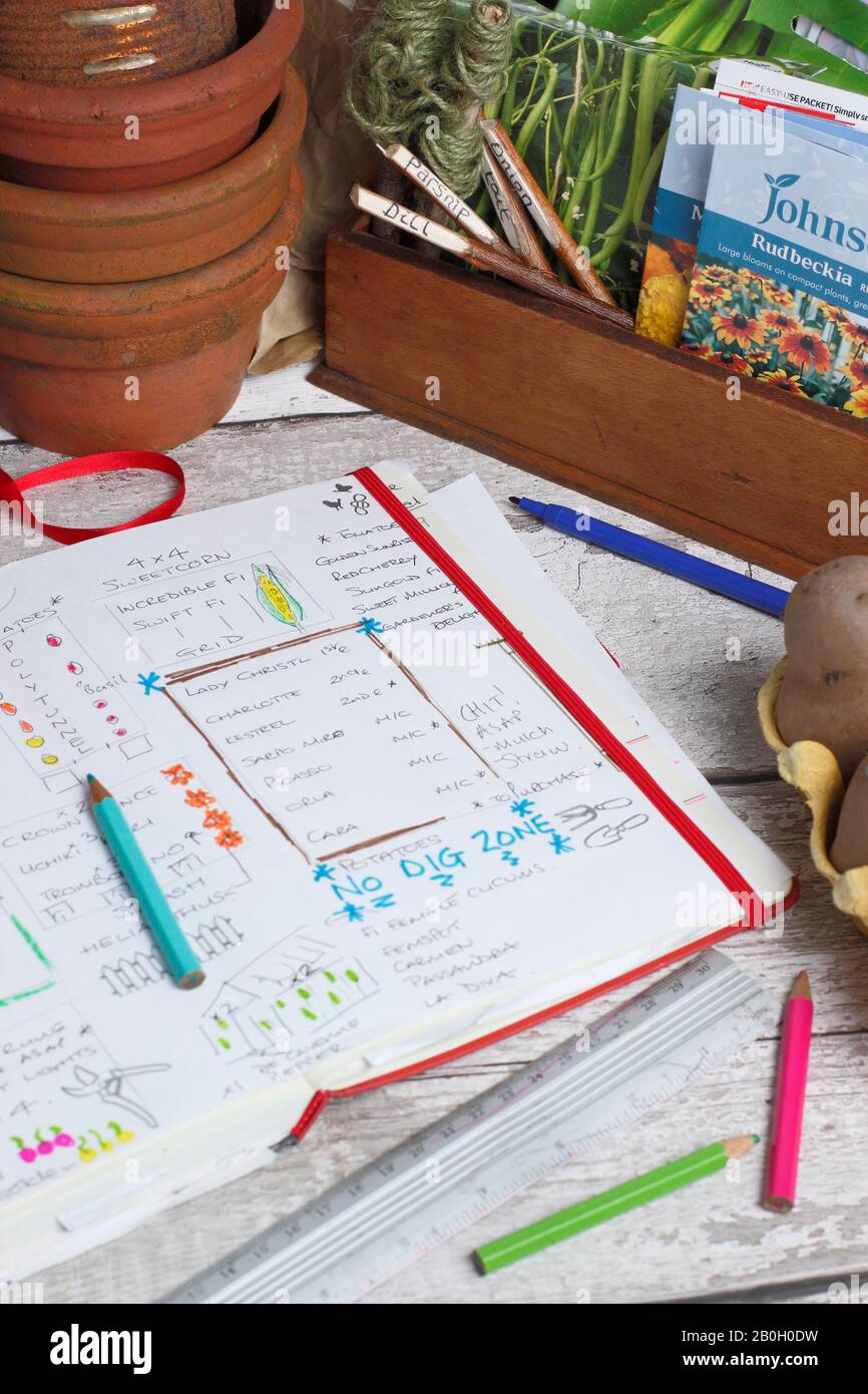 Progettazione di un orto in inverno con un taccuino da giardinaggio, patate da semina e pacchetti di semi. REGNO UNITO Foto Stock