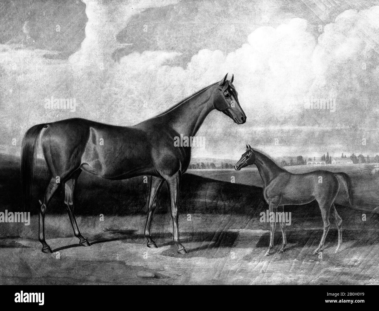 Sconosciuto, Parachute e il suo Foal, 1801–99, olio su tela, 23 7/8 x 31 15/16 in. (60,7 x 81,1 cm Foto Stock