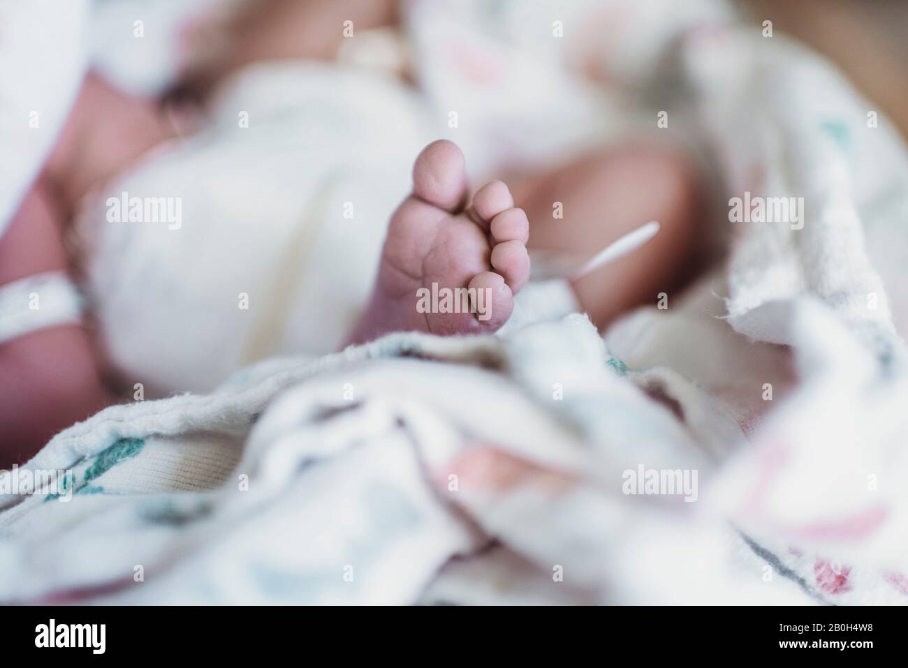 Primo piano dettaglio del piede neonato in ospedale Foto Stock Primo piano dettaglio del piede neonato in ospedale Foto Stock