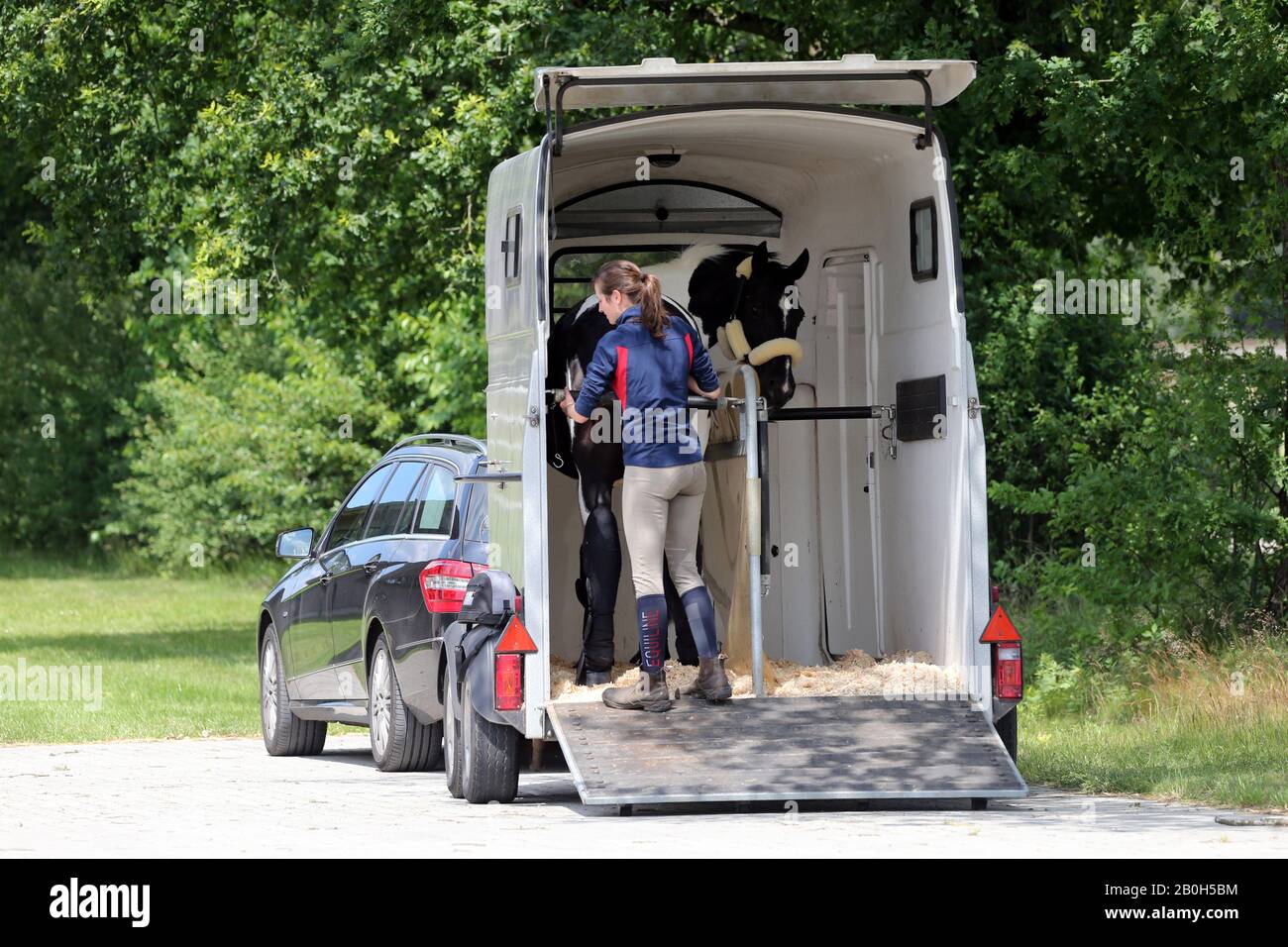 22.06.2019, Bruemmerhof, Bassa Sassonia, Germania - Donna fissa il quarto posteriore nel suo rimorchio di cavalli. 00S190622D768CAROEX.JPG [VERSIONE MODELLO: SÌ Foto Stock