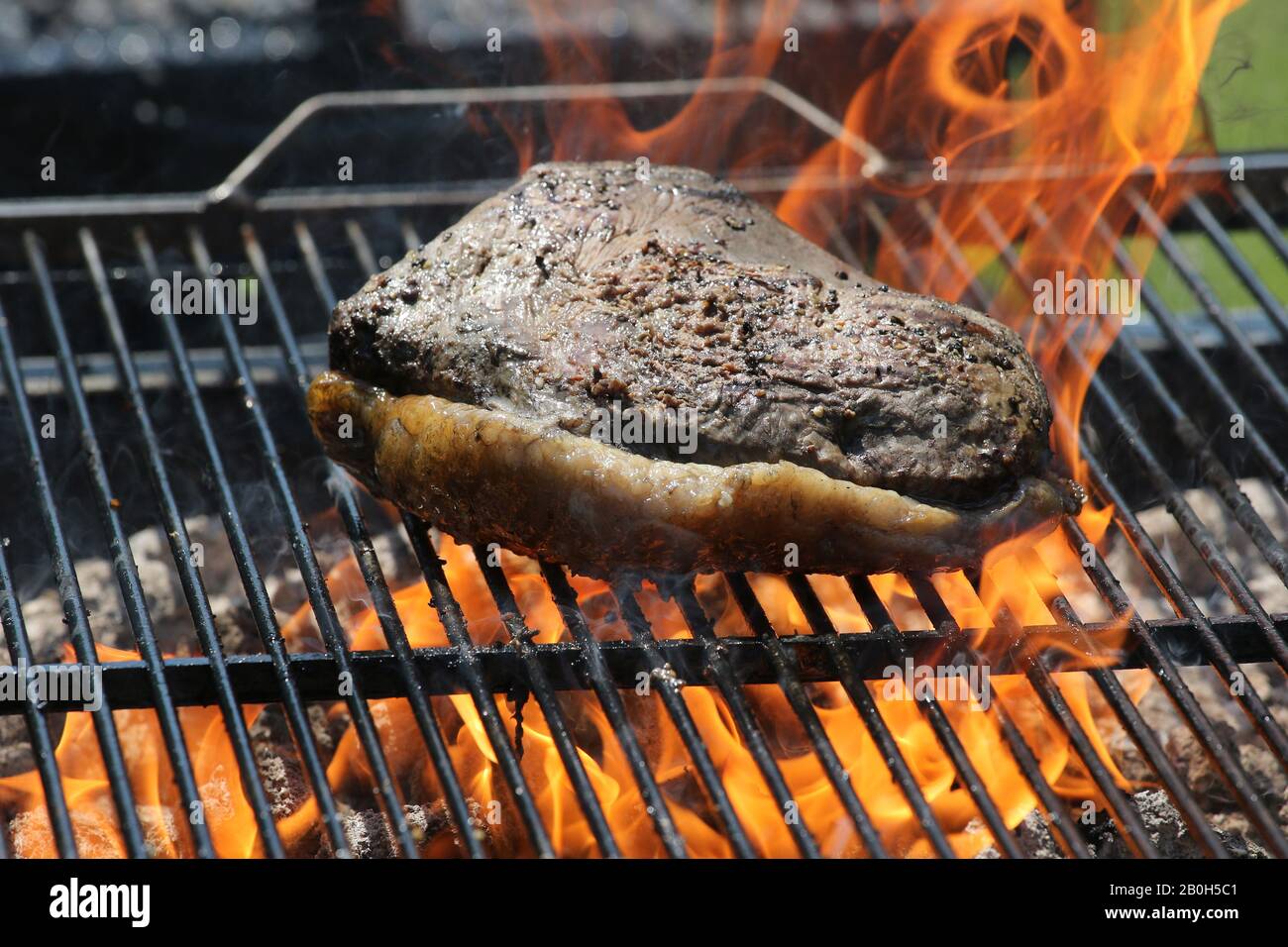 23.06.2019, Hannover, bassa Sassonia, Germania - La Carne viene preparata su una griglia. 00S190623D335CAROEX.JPG [RILASCIO MODELLO: No, RILASCIO PROPRIETÀ: No (c) caro i Foto Stock