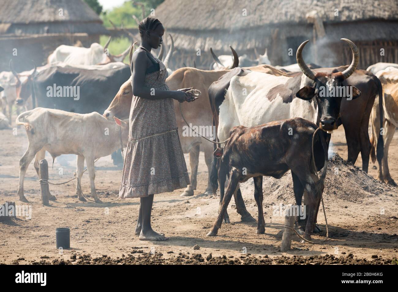 31.10.2019, Belinkum, Gambela, Etiopia - allevatore Di Bestiame del gruppo etnico etiope Nuer. In un villaggio tradizionale una mandria di bestiame si trova tra Foto Stock