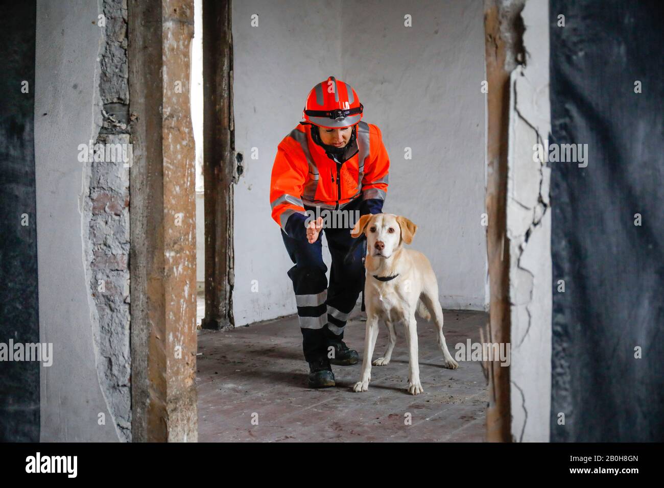 05.01.2020, Herne, Renania Settentrionale-Vestfalia, Germania - addestramento del cane di salvataggio, in case vuote i cani di inseguimento praticano la ricerca del peo sepolto ferito Foto Stock