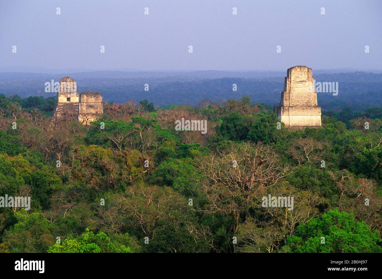 GUATEMALA, TIKAL, VISTA DEL TEMPIO III (A DESTRA), DEL TEMPIO II E DEL TEMPIO I DAL TEMPIO IV Foto Stock