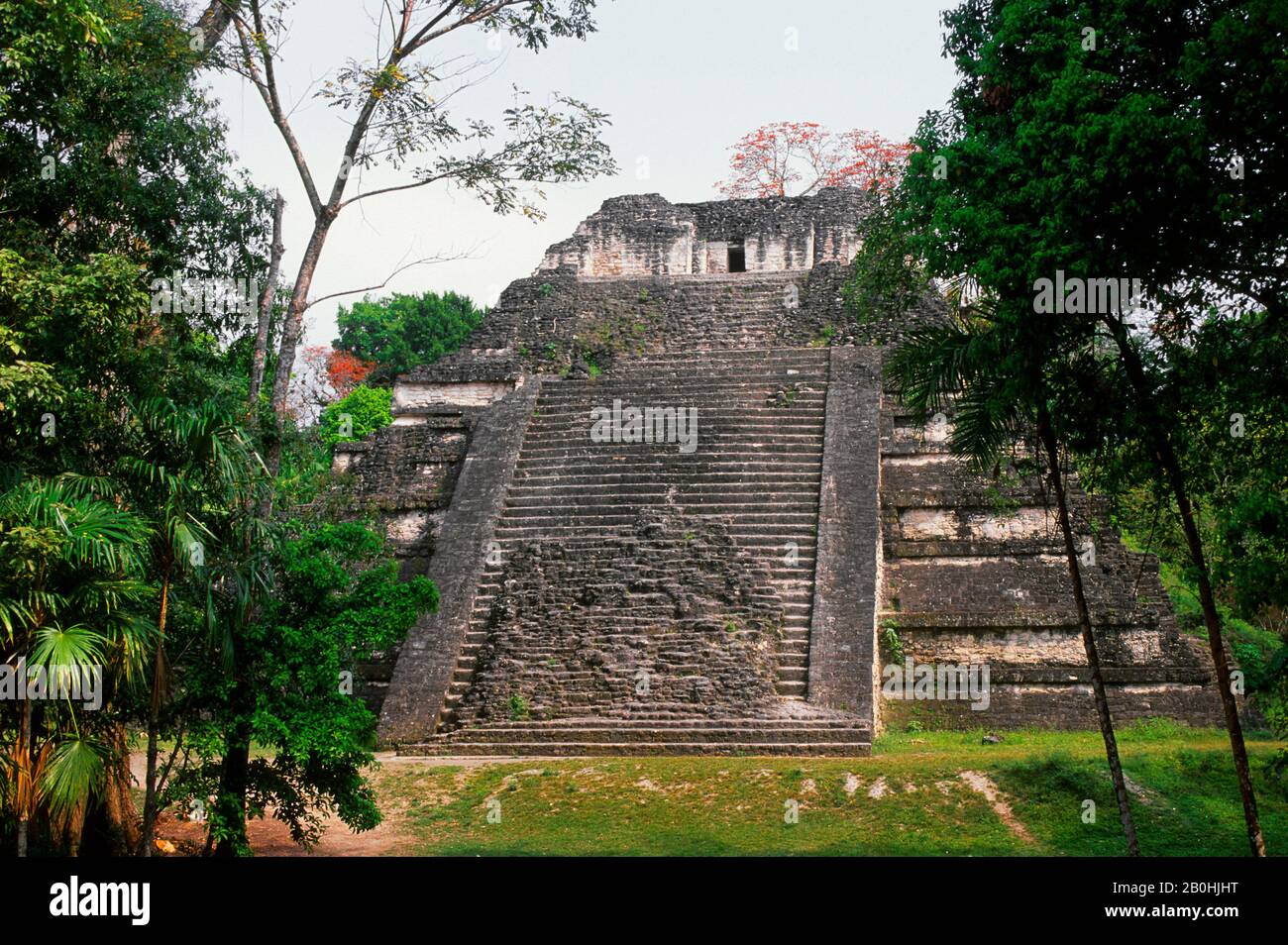 GUATEMALA, TIKAL, COMPLESSO MONDIALE PERDUTO, PIRAMIDE 5C-49, COSTRUITO TRA IL 250-300 D.C. Foto Stock