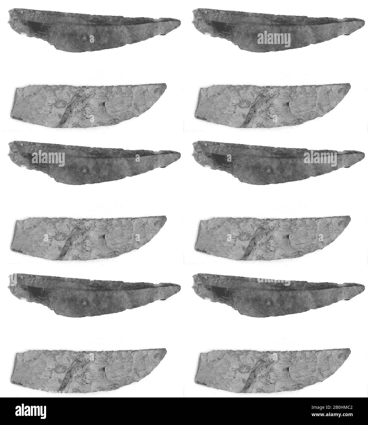 Frammento di coltello bifacciale, Antico Regno–nuovo Regno, Dinastia 8–18, ca. 2649–1295 A.c., Dall'Egitto, Regione Memphite, Lisht Nord, 1920–22, Flint, L. 17,5 cm Foto Stock