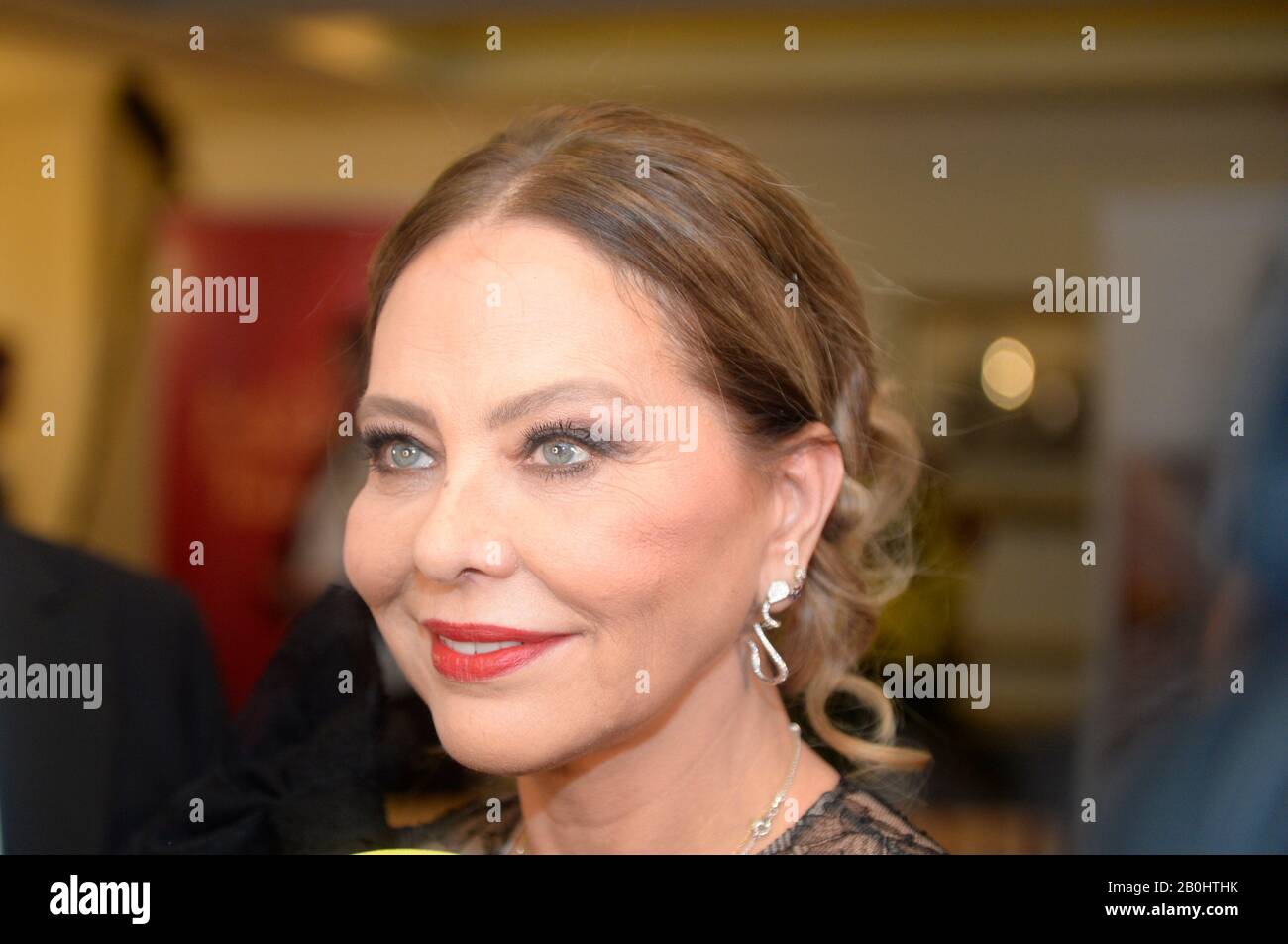 Vienna, Austria. 20th Feb, 2020. Photocall con Ornella Muti in abito serale per l'Opera Ball 2020 a Vienna. Credito: Franz Perc / Alamy Live News Foto Stock