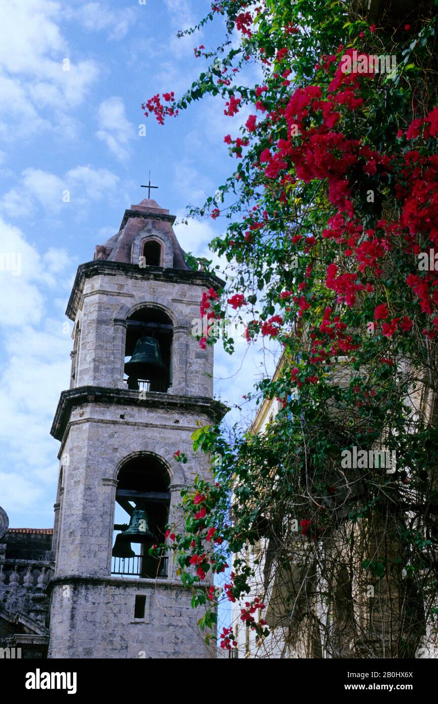 CUBA, L'AVANA VECCHIA, PLAZA DE LA CATEDRAL, TORRE DELLA CATTEDRALE, BOUGAINVILLEA Foto Stock