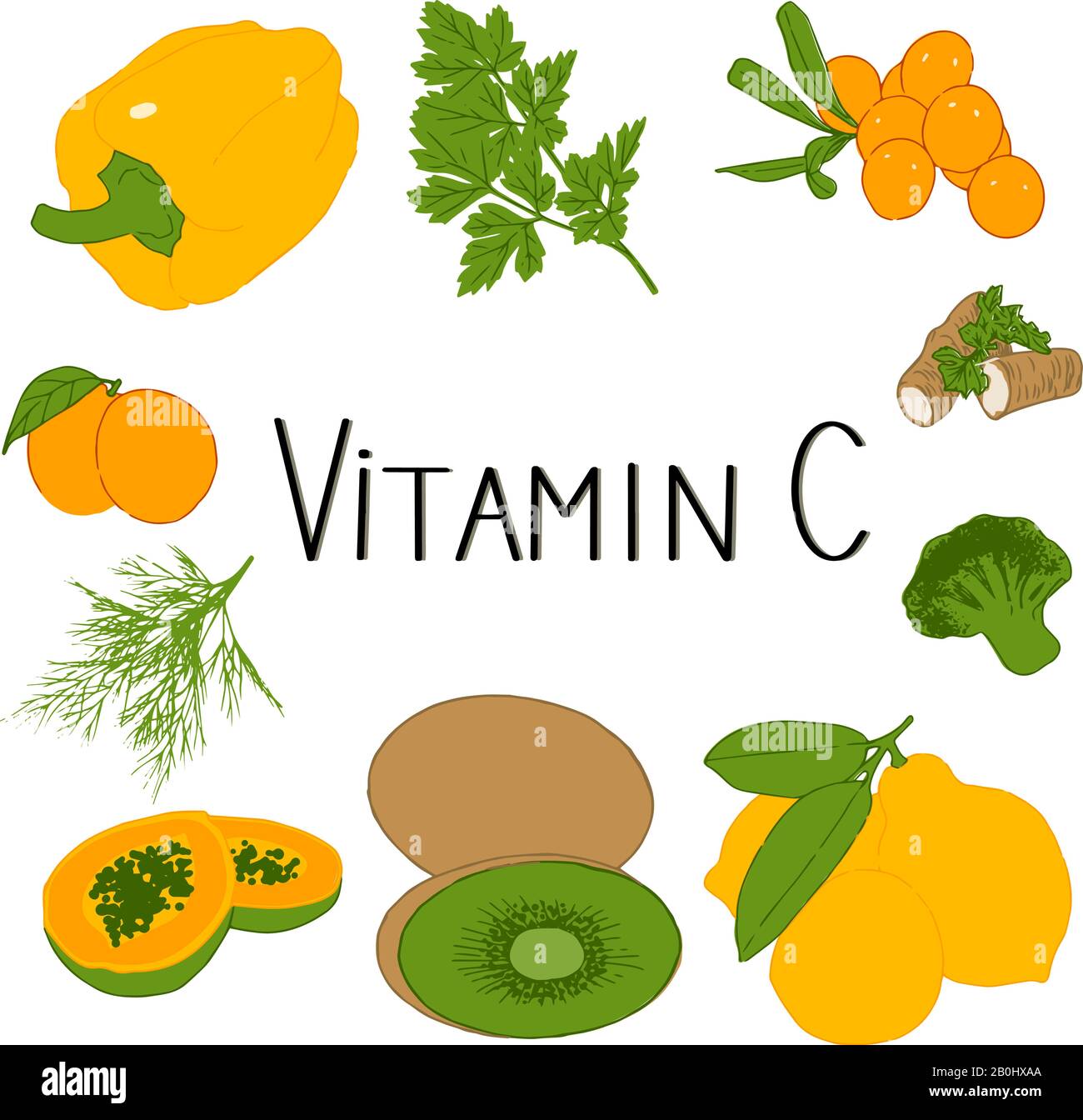 Set disegnato a mano di vitamina C products.healthy Concept. Illustrazione Vettoriale