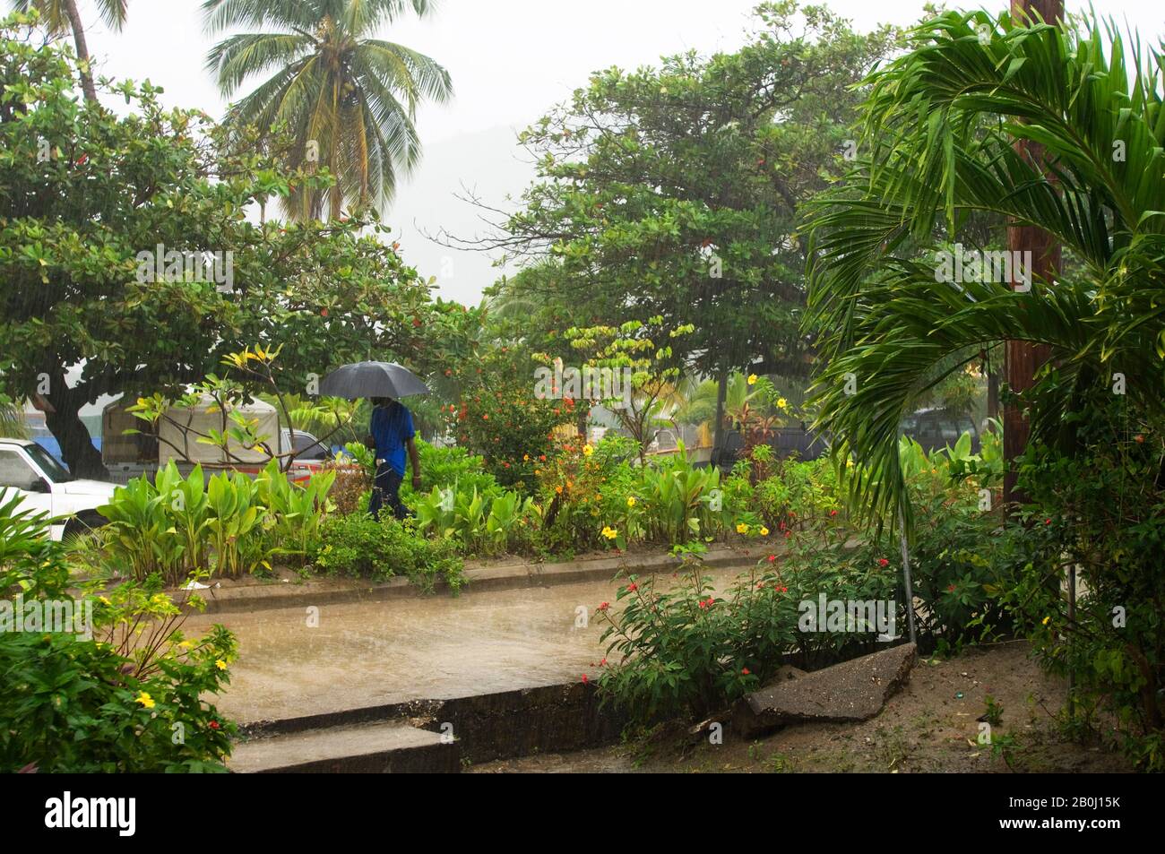 GRENADINE, ISOLA DI BEQUIA, PORT ELIZABETH, SCENA DI STRADA, PIOGGIA TROPICALE Foto Stock