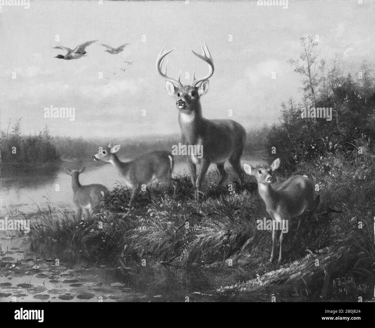 Arthur Fitzwilliam Tait, Su Qui Vive, Buck E Three Does, American, Arthur Fitzwilliam Tait (Americano (Inghilterra), Liverpool 1819–1905 Yonkers, New York), 1871, American, Oil On Wood, 13 X 16 Pollici. (32,1 x 40,6 cm), Dipinti Foto Stock