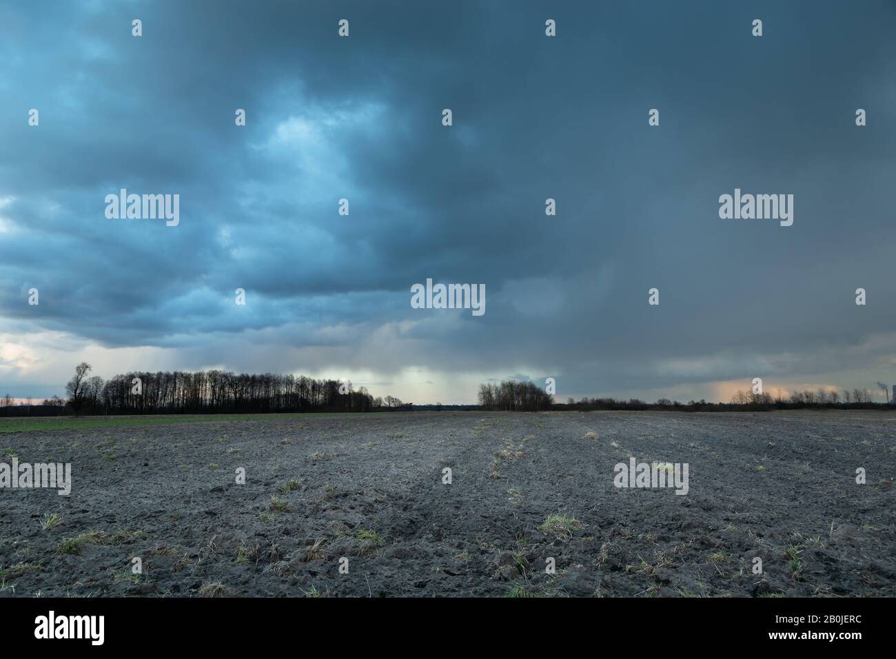 Campo arato, alberi all'orizzonte e cielo blu nuvoloso Foto Stock