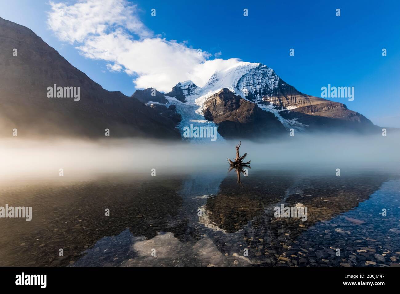 Nebbia mattina dalla riva del Lago di Berg, di fronte alla Hargreaves Shelter, Mt. Robson torreggiante in lontananza, nel Parco Provinciale di Mount Robson, British C. Foto Stock