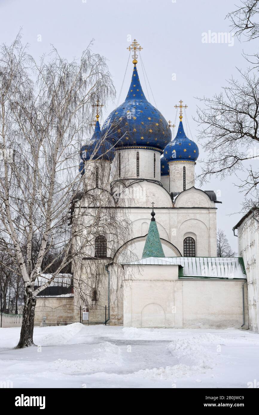 Cattedrale della Natività incorniciata da Birch Tree in inverno. Suzdal, Russia. Foto Stock