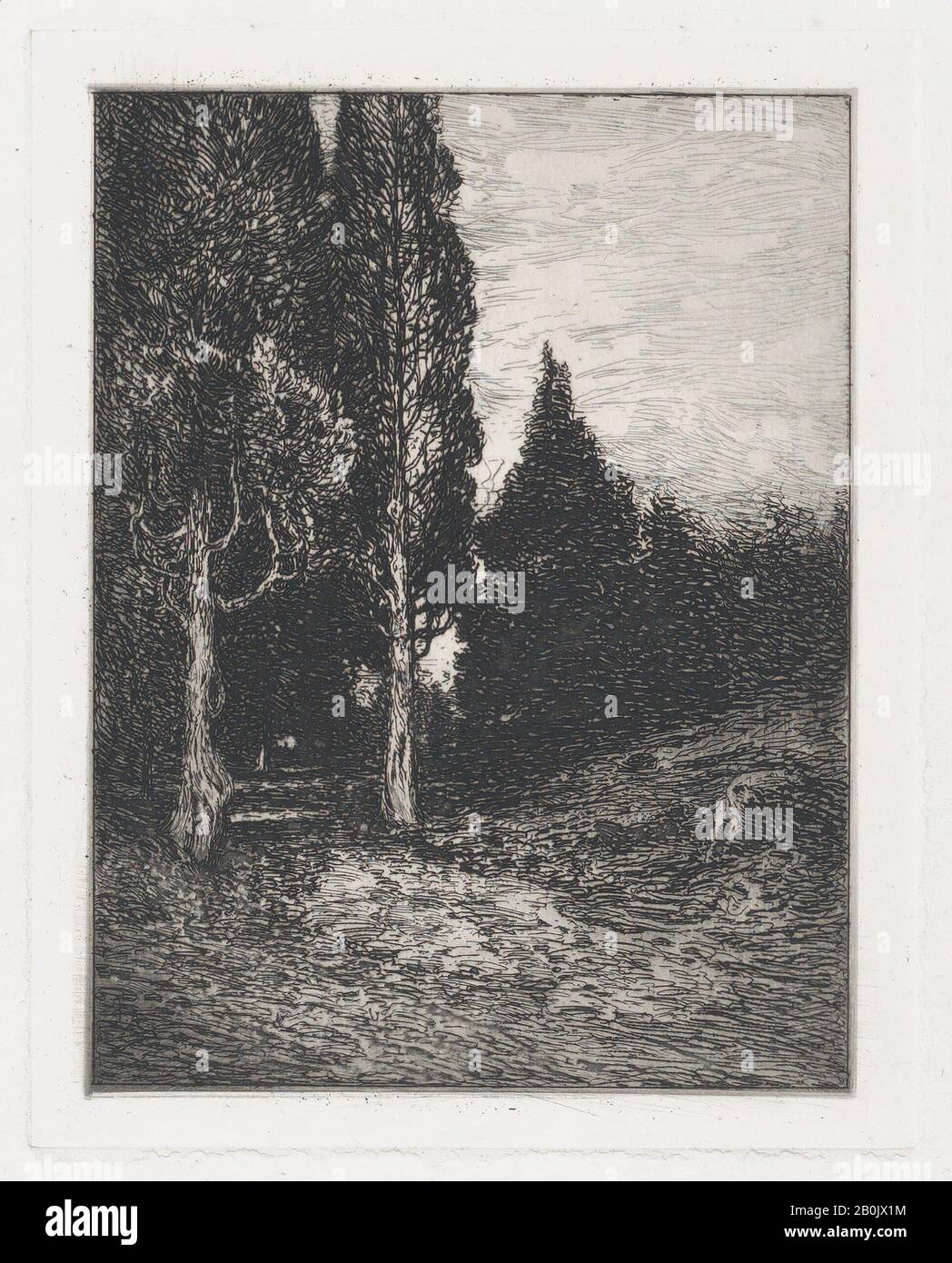 Frank Anderson, Landscape, Frank Anderson (Americano, 1844–1891), Ca. 1880–91, Drypoint, foglio: 8 5/16 × 6 7/8 in. (21,1 × 17,5 cm), Piastra: 4 15/16 × 3 15/16 in. (12,5 × 10 cm), stampe Foto Stock