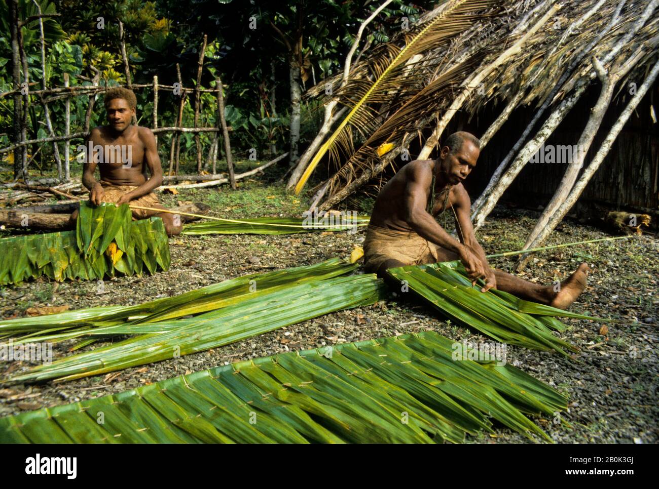 ISOLE SALOMONE, MALAITA ISLAND, UOMINI CHE PREPARANO FRONDE PER CAPANNE DI PAGLIA Foto Stock