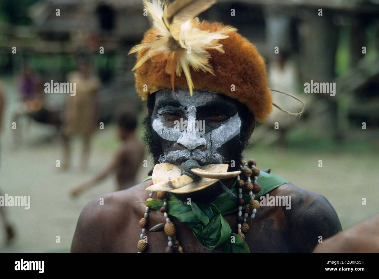 NUOVA GUINEA, FIUME SEPIK, RITRATTO DI UOMO PRIMITIVO CON VOCE E BROSMIO MAIALE BOCCAGLIO Foto Stock