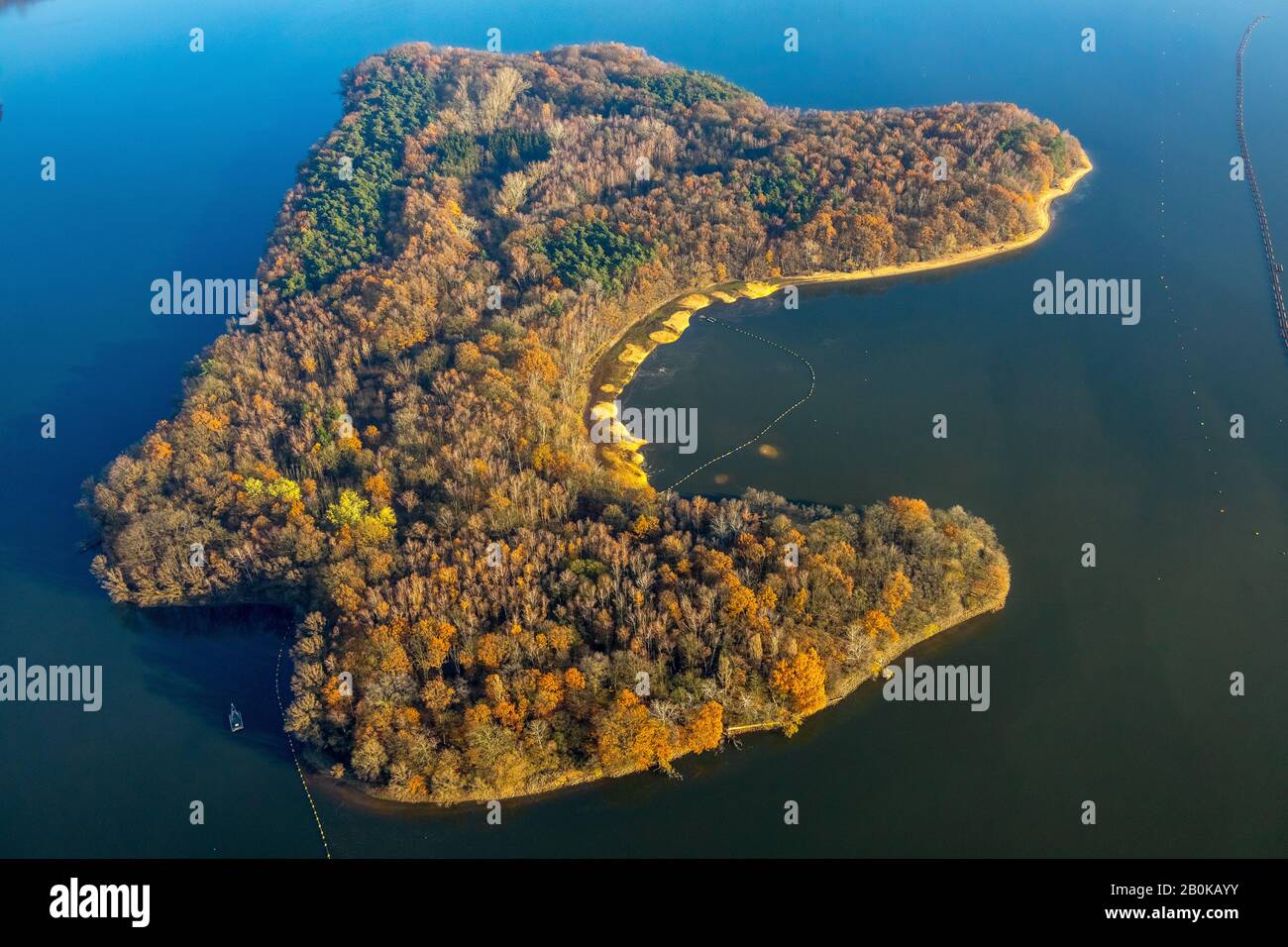 Foto aerea, foresta mista al lago, isola di riserva a Halterner Stausee, Haltern am See, zona della Ruhr, Renania Settentrionale-Vestfalia, Germania, DE, Europa, Foto Stock