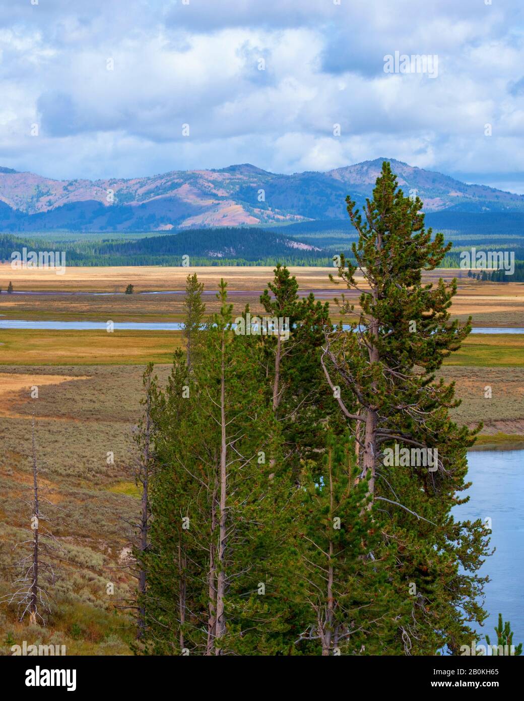 Si affaccia su un piccolo lago, con alti pini verdi e valle dorata sotto e montagne oltre sotto un cielo di bianche nuvole soffici. Foto Stock