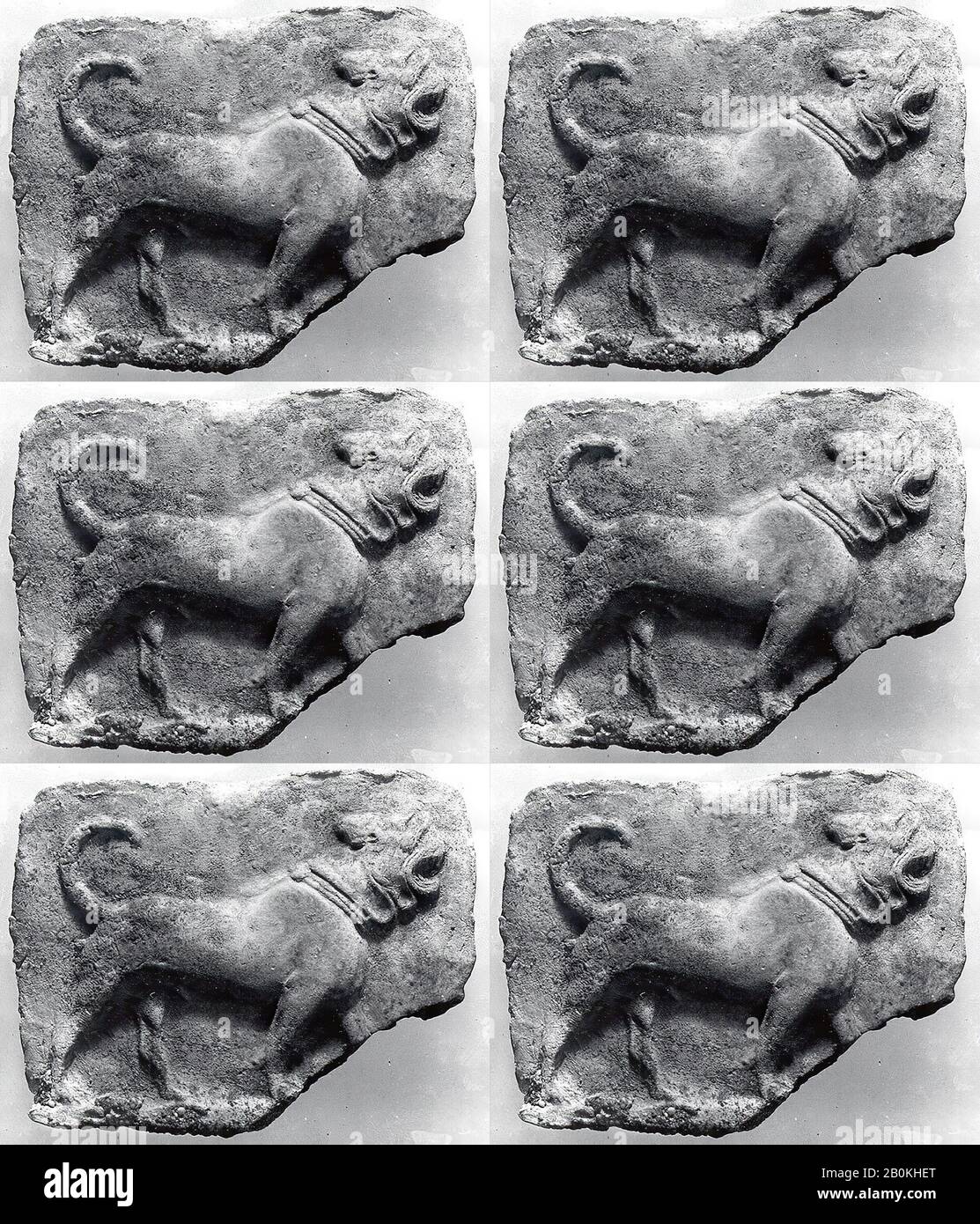 Placca stampata: Mastiff, Babylonian, Old Babylonian, Date ca. 2000–1600 a.C., Mesopotamia meridionale, babilonese, ceramica, 4,25 x 4,49 pollici. (10,8 x 11,4 cm), Rilievi in ceramica Foto Stock