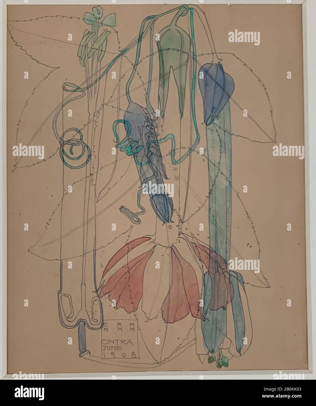 Charles Rennie Mackintosh, Tacsonia, Charles Rennie Mackintosh (British, Glasgow, Scotland 1868–1928 Londra), 1908, grafite e acquerello su carta marrone chiaro, 15 3/8 × 13 3/8 in. (39,1 × 34 cm), Disegni Foto Stock