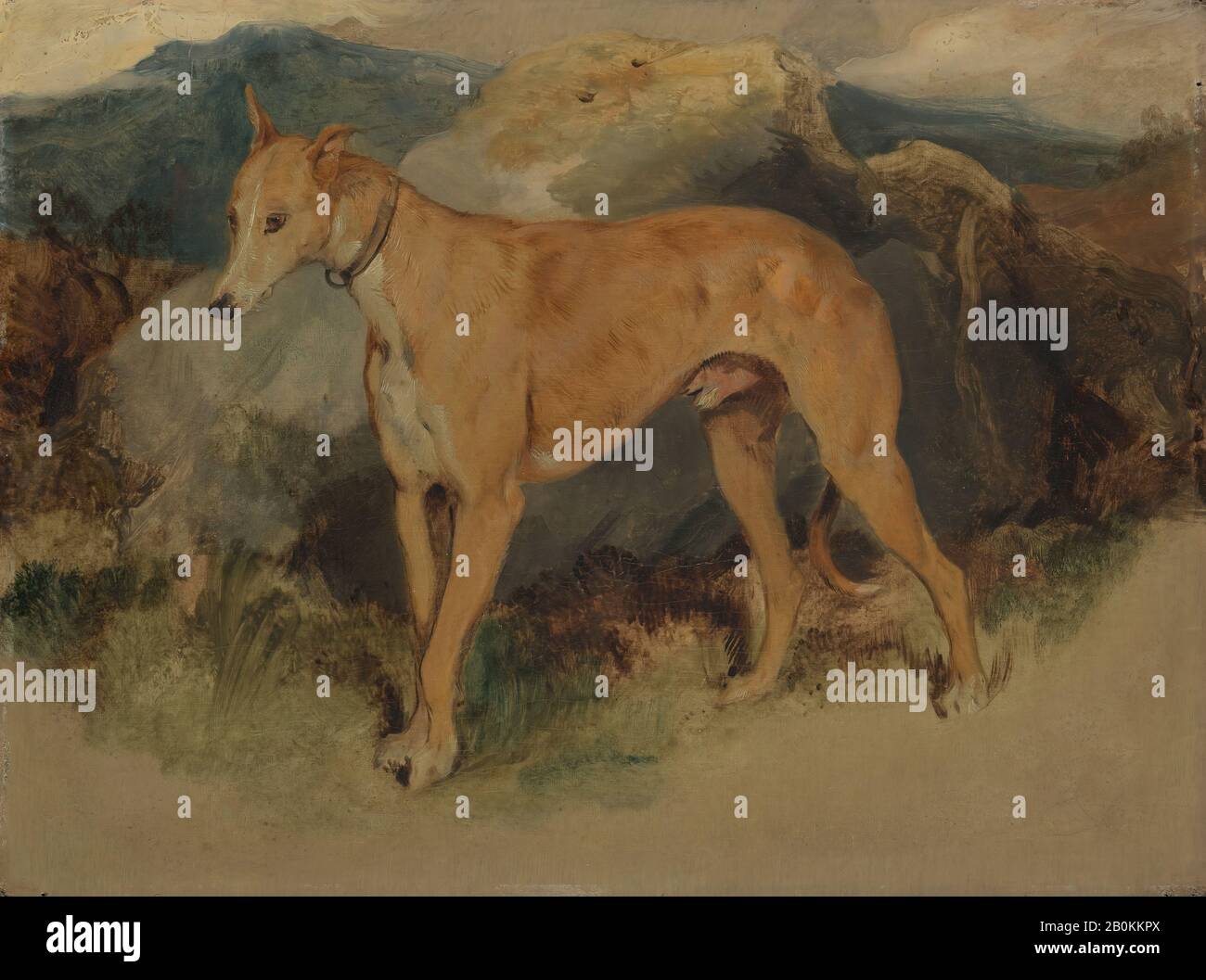 Sir Edwin Henry Landseer, Un Deerhound, Sir Edwin Henry Landseer (Londra 1802–1873 Londra), 1826, Oil On Board, 12 1/16 × 16 1/16 In. (30,6 × 40,8 cm), Dipinti Foto Stock