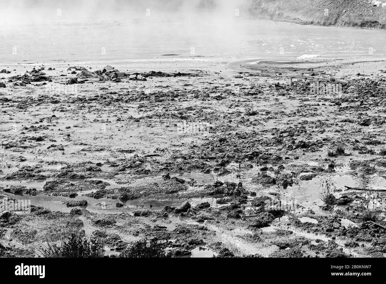 Sorgenti termali che mostrano attività geotermiche, coste fangose appiccicose. Vapore che sale dall'acqua. Foto Stock