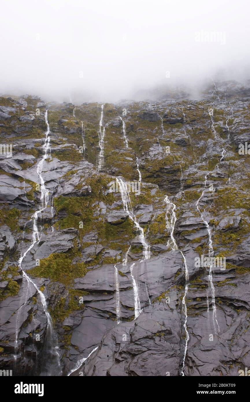 NUOVA ZELANDA, OCEANIA, SOUTH ISLAND, PARCO NAZIONALE FIORDLAND, TUNNEL HOMER, CASCATE DURANTE LA PIOGGIA Foto Stock