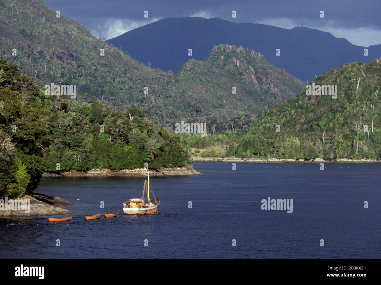 CILE MERIDIONALE, FIORDI CILENI IN SERATA LUCE CON BARCA LOCALE Foto Stock
