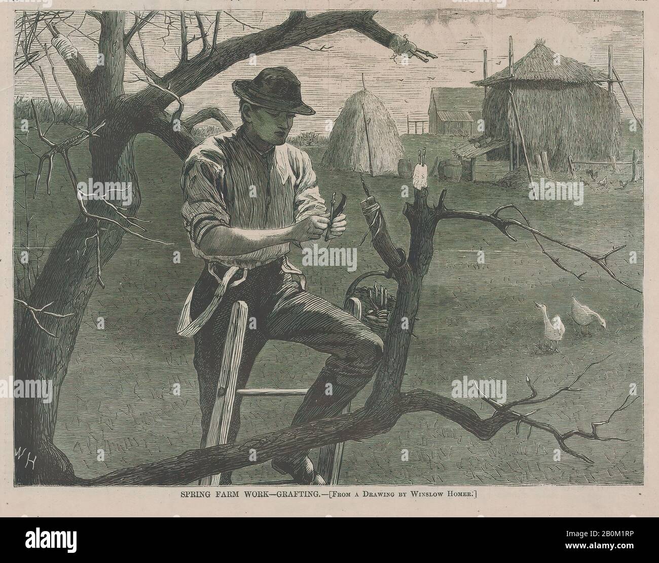 Dopo Winslow Homer, Spring Farm Work – Innesto (Harper'S Weekly, Vol. Xiv), Dopo Winslow Homer (American, Boston, Massachusetts 1836–1910 Prouts Neck, Maine), 30 Aprile 1870, Incisione Del Legno, Immagine: 6 7/8 X 9 1/8 In. (17,5 x 23,2 cm), foglio: 8 11/16 x 10 3/4 in. (22 x 27,3 cm), stampe Foto Stock