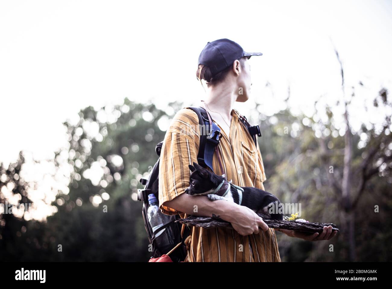 Persona naturale androgina in cappuccio tiene il cane piccolo su legno in luce di parco Foto Stock