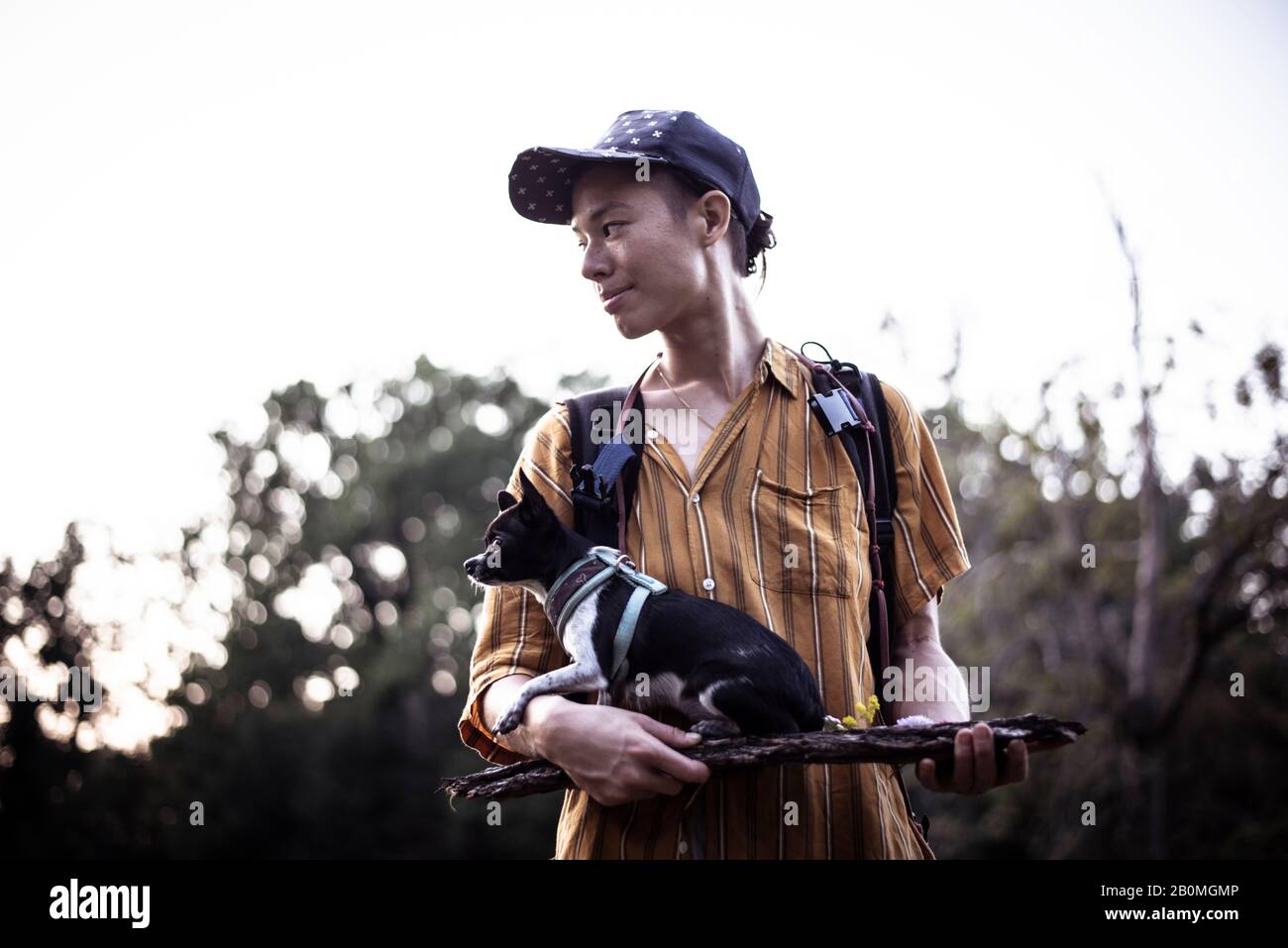 Persona naturale androgina in cappuccio tiene il cane piccolo su legno in luce di parco Foto Stock
