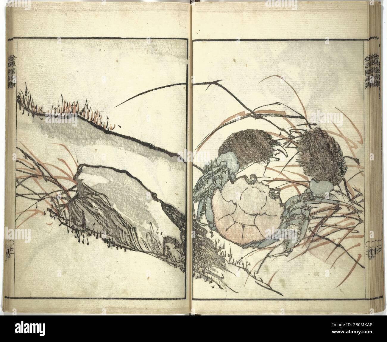 Kawamura Bunpō, Kempaen (Bunpō) Picture Album (Kempaen gafu), Giappone, periodo Edo (1615–1868), Kawamura Bunpō (giapponese, 1779–1821), 1820, Giappone, libro stampato Su Blocco Di Legno; inchiostro e colore su carta, 10 7/16 × 4 1/2 in. (26,5 × 11,5 cm), Libri Illustrati Foto Stock