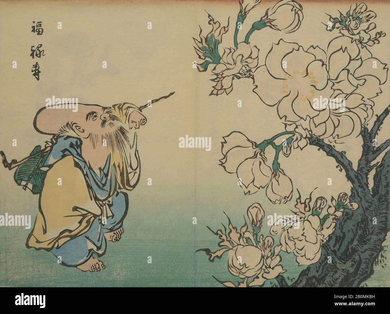 Utagawa Hiroshige II, Hiroshige Picture Album (Hiroshige gafu), Giappone, Edo Period (1615–1868), Utagawa Hiroshige II (giapponese, 1829–1869), 1862, Giappone, Libro stampato Su Blocco Di Legno; inchiostro e colore su carta, 6 15/16 × 4 5/16 in. (17,7 × 11 cm), Libri Illustrati Foto Stock