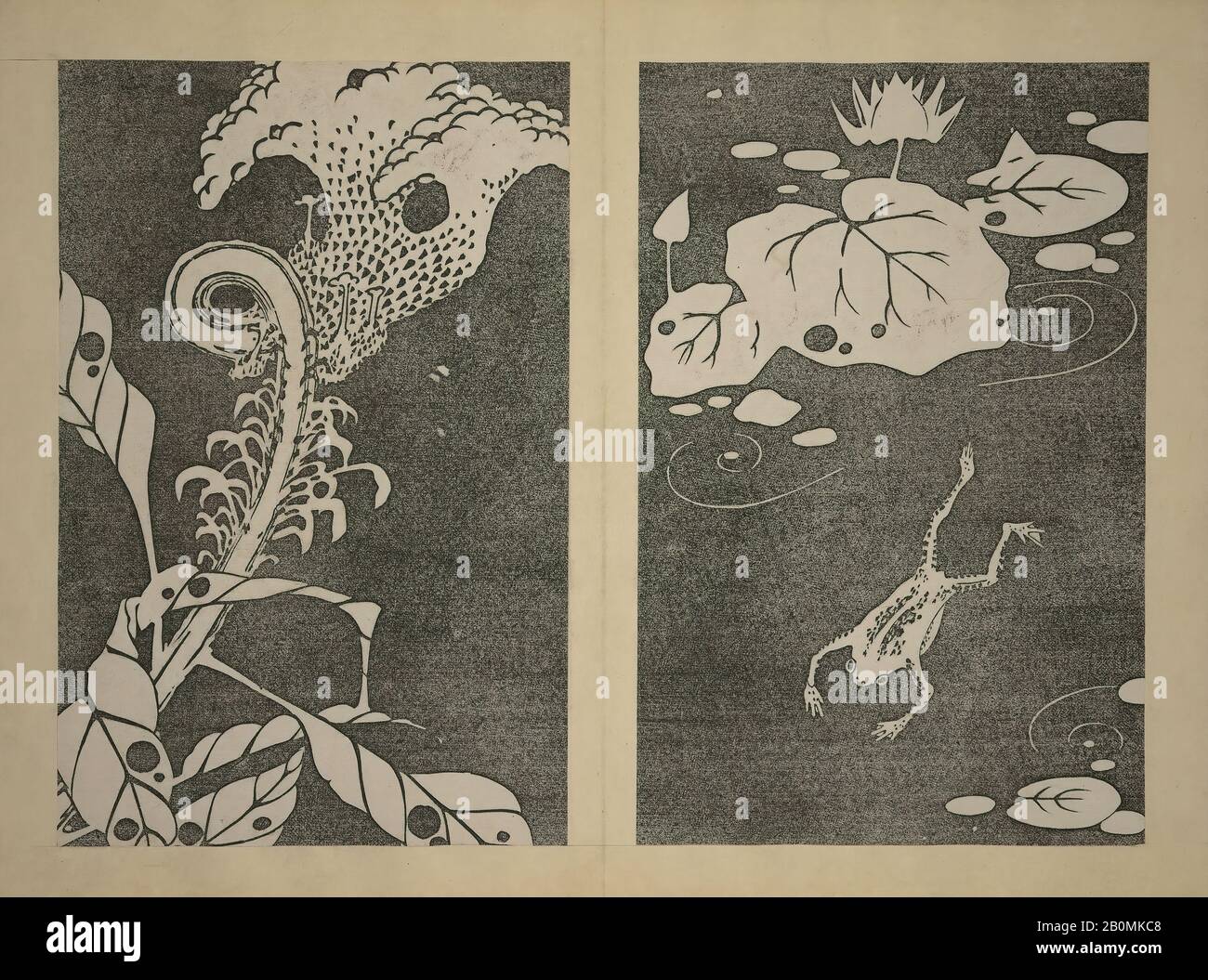 Itō Jakuchū, Jakuchū Picture Album (Jakuchū Gajō), Giappone, Periodo Meiji (1868–1912), Itō Jakuchū (Giapponese, 1716–1800), Ca. 1900, Giappone, Set di due libri stampati in legno (orienton, stile fisarmonica); inchiostro su carta, ciascuno: 12 1/4 × 8 1/4 in. (31,1 × 21 cm), Libri Illustrati Foto Stock