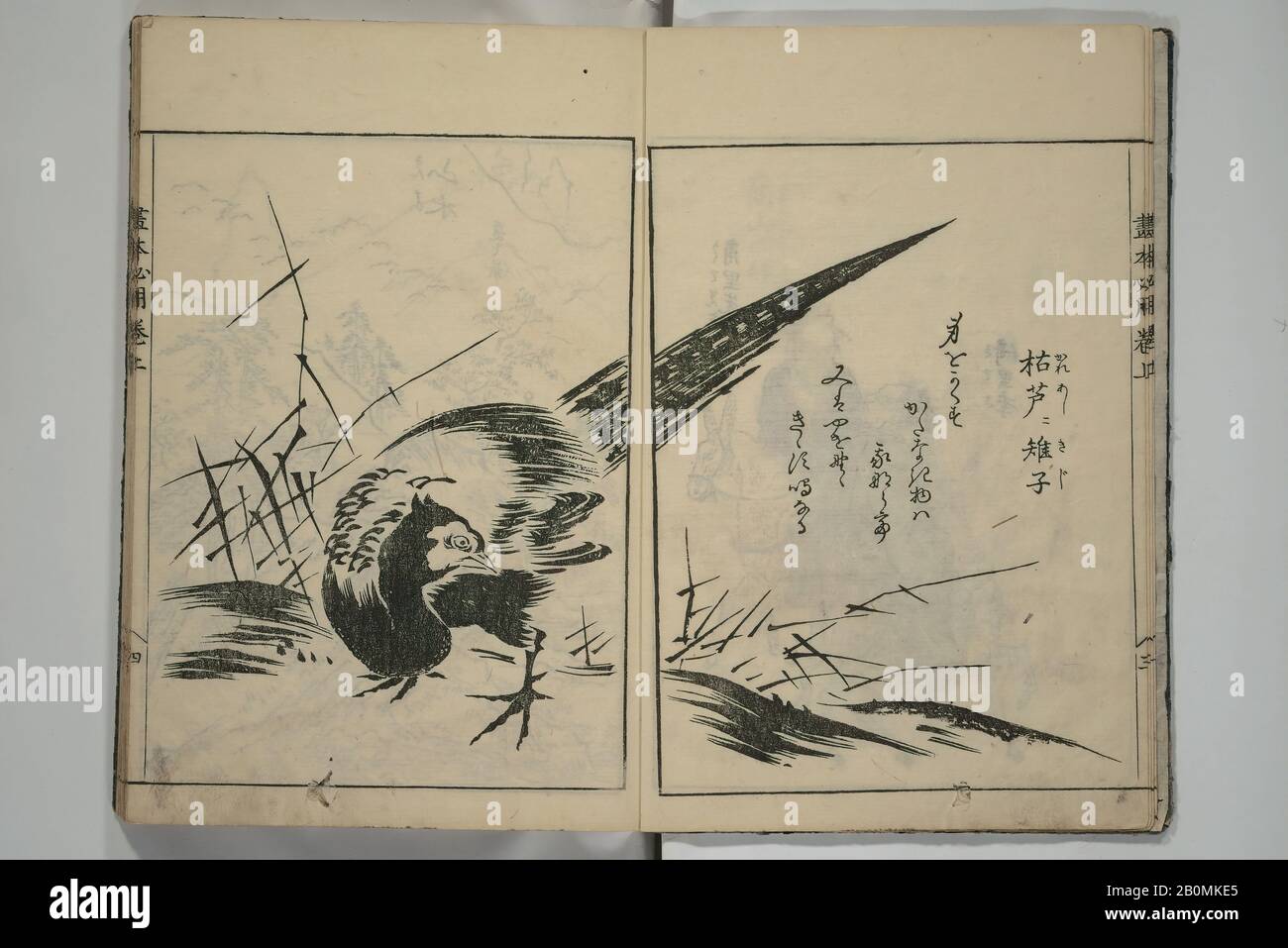 Sadatoshi, un libro di immagini sullo studio Dei Dipinti (Ehon hitsuryō), Giappone, periodo Edo (1615–1868), Sadatoshi (giapponese, attivo 1716–36), 1751, Giappone, libro stampato Su Blocco Di Legno; inchiostro e colorazione a mano (tanroku bon) su carta, 10 1/4 × 7 1/16 in. (26 × 18 cm), Libri Illustrati Foto Stock