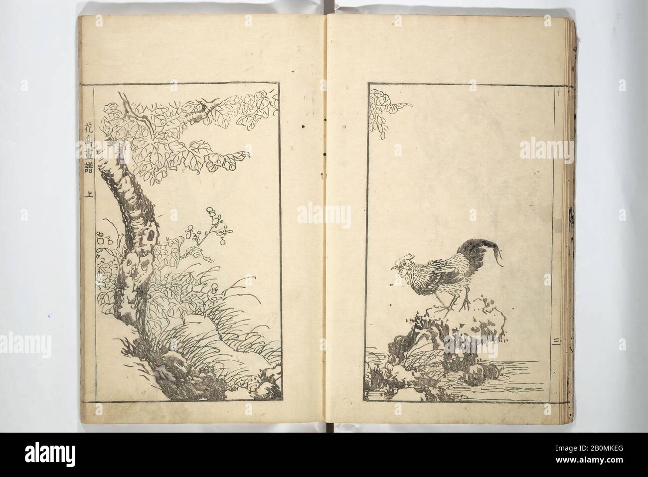 Sō Shiseki, Sō Shiseki Picture Album (Sō Shiseki gafu), Giappone, periodo Edo (1615–1868), Sō Shiseki (giapponese, 1715–1786), 1764, Giappone, Set di tre libri stampati in blocco di legno; inchiostro, colore e colorazione a mano (vol 2) su carta, ciascuno: 10 1/2 × 6 3/4 in. (26,7 × 17,2 cm), Libri Illustrati Foto Stock