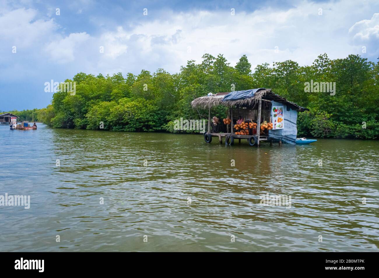 Balapitiya, Sri Lanka, 05 dicembre 2018 Safari sul fiume Madu, splendida riva del fiume tropicale. Mercato sull'acqua che vende noci di cocco Foto Stock