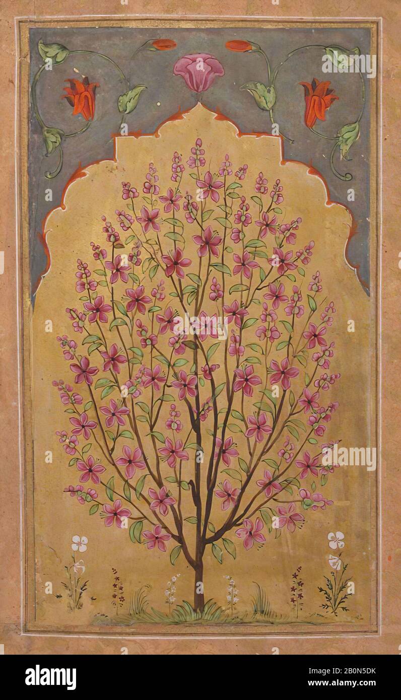 Flowering Tree, foglia di album Illustrata, ca. 1700, Realizzato in India, acquerello Opaco e oro su carta, 10 3/16 x 7in. (25,9 x 17,8 cm), Codices Foto Stock