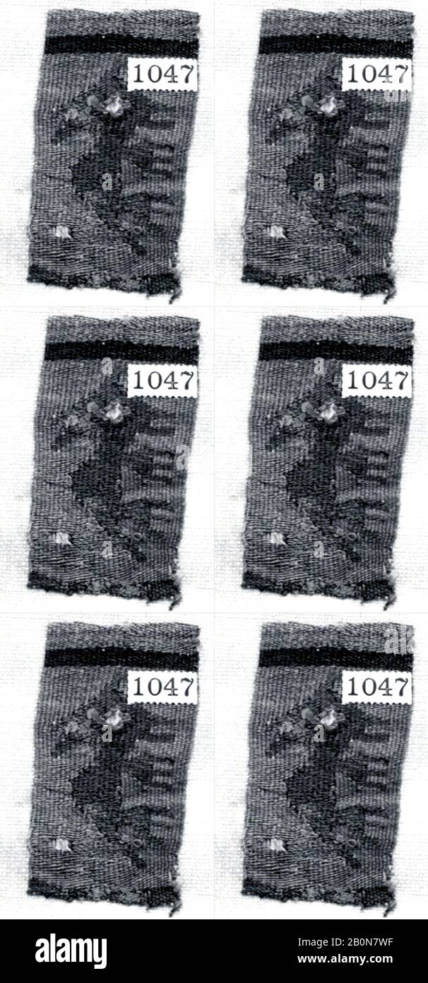 Frammento di arazzo, Perù; costa centrale (?), 10th–15th secolo, Perù, provincia di Lima, Perù; costa centrale (?), capelli Camelidi, cotone, Totale: 2 3/4 x 1 1/2 in. (6,99 x 3,81 cm), Altro: 2 3/4 in. (6,99 cm), tessuto tessile Foto Stock