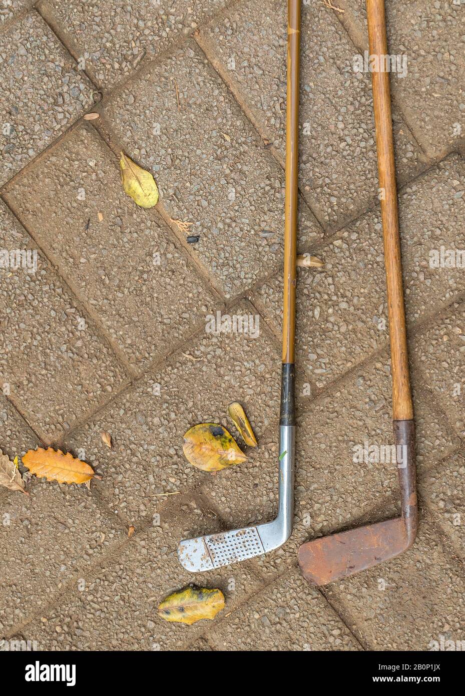 Due club di golf vintage con alberi hickory isolati all'aperto Foto Stock