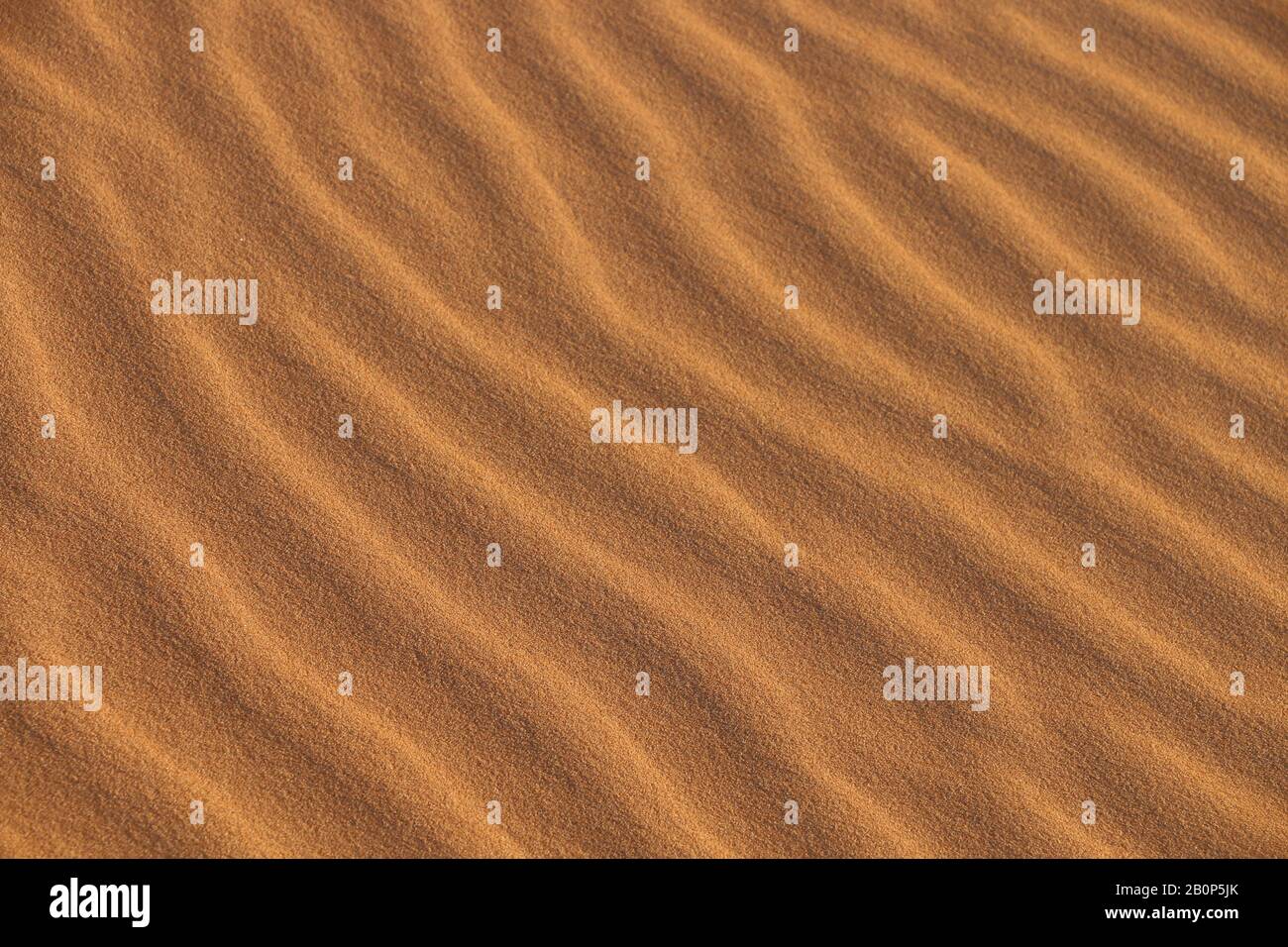 sabbia texture - sfondo di dune di sabbia deserto. Belle strutture di dune sabbiose, sabbia con onde dal vento nel deserto - Close up Foto Stock