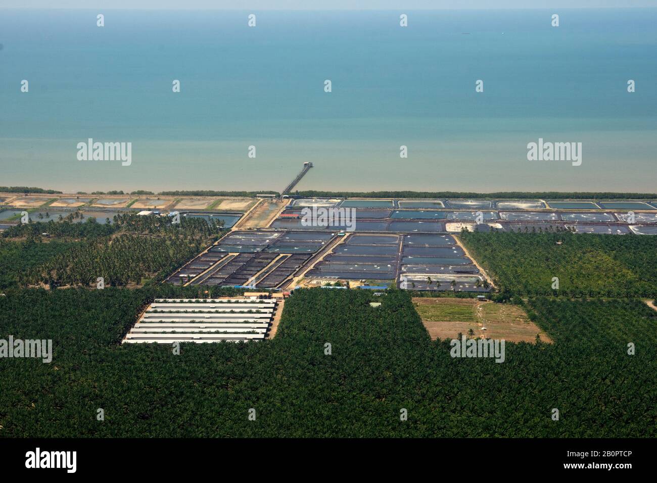 Veduta aerea degli stagni di gamberi d'acquacoltura nella costa di Tawau, Sabah, Borneo Island, Malesia Foto Stock