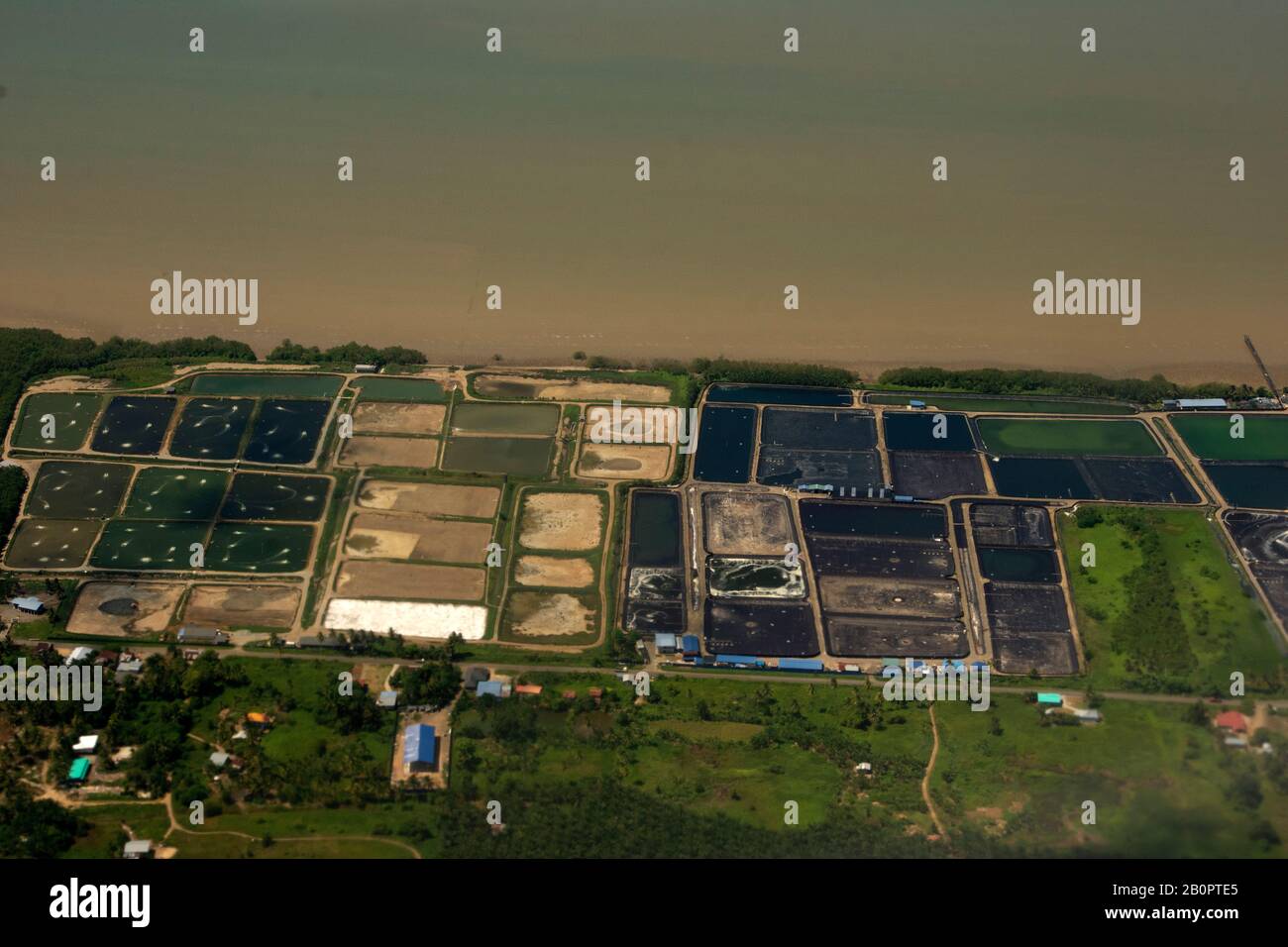 Veduta aerea degli stagni di gamberi d'acquacoltura nella costa di Tawau, Sabah, Borneo Island, Malesia Foto Stock