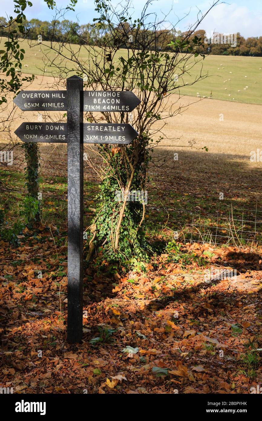 Ridgeway sentiero segnaletica Streatley Berkshire Foto Stock